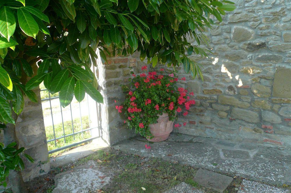 Il Gelso Leilighet Cortona Eksteriør bilde