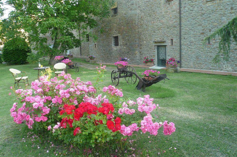 Il Gelso Leilighet Cortona Eksteriør bilde