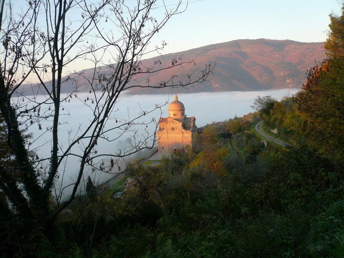 Il Gelso Leilighet Cortona Eksteriør bilde