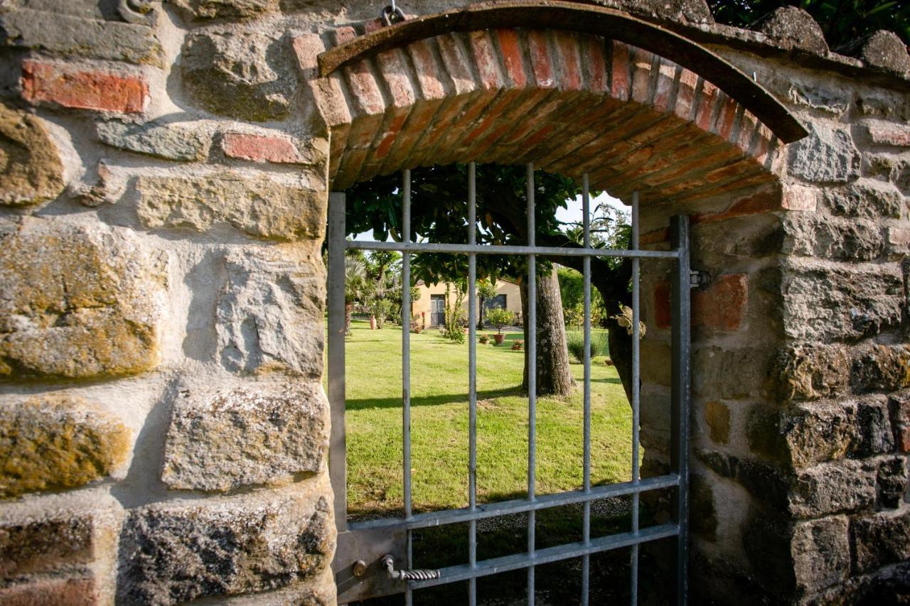 Il Gelso Leilighet Cortona Eksteriør bilde